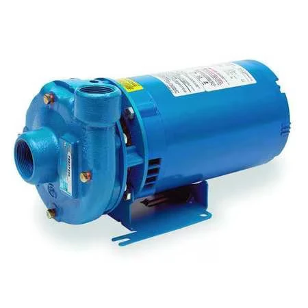 Pumps.JPG